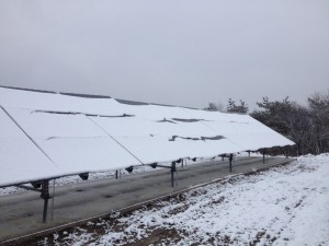 農場に設置された太陽光パネル。