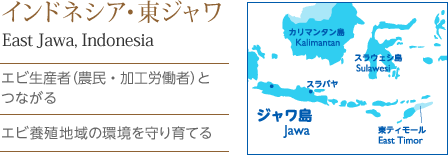 ・エビ生産者（農民・加工労働者）とつながる ・エビ養殖地域の環境を守り育てる